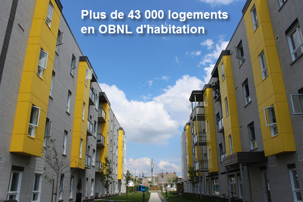 OBNL_Site web